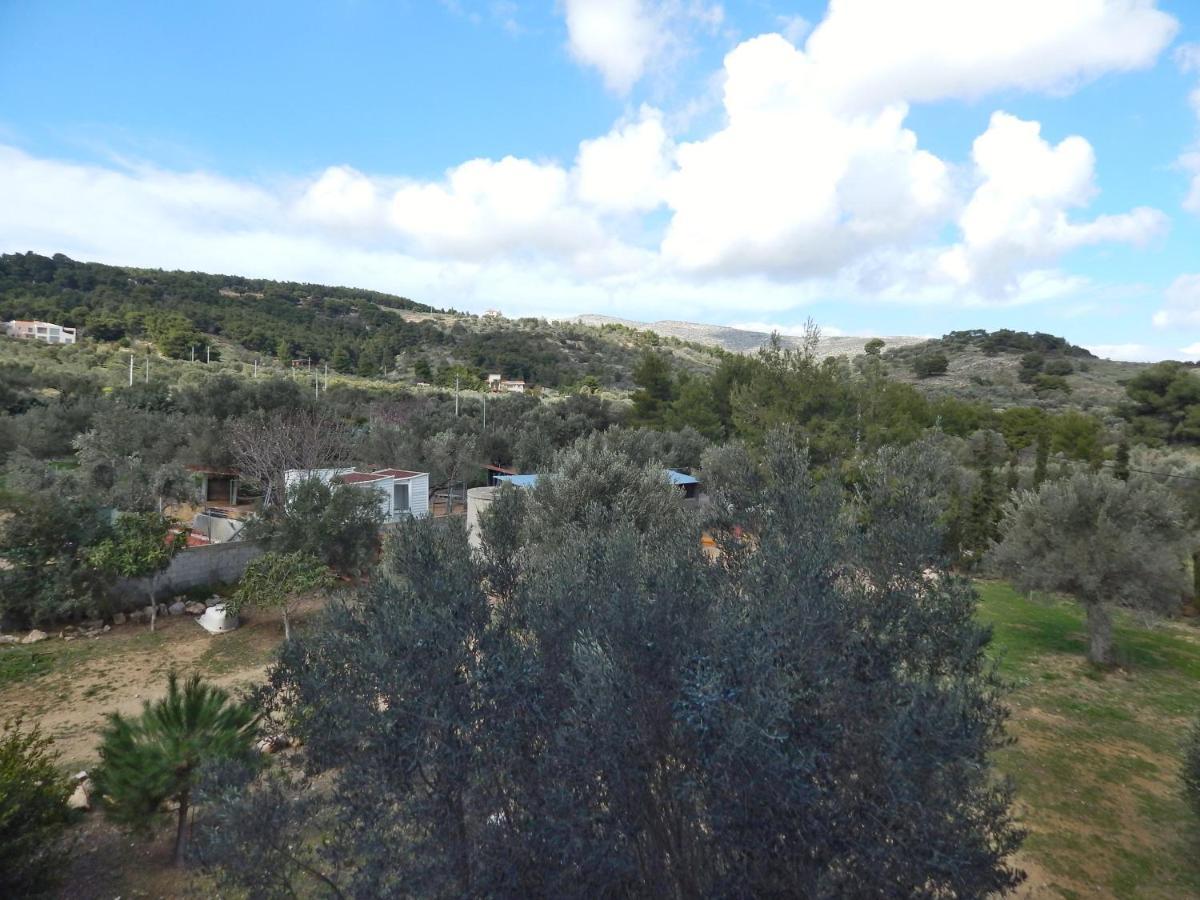 KerateaΟδυσσεια, Κοντά Σε Αεροδρόμιο, Λιμάνια Και Θάλασσεςアパートメント エクステリア 写真