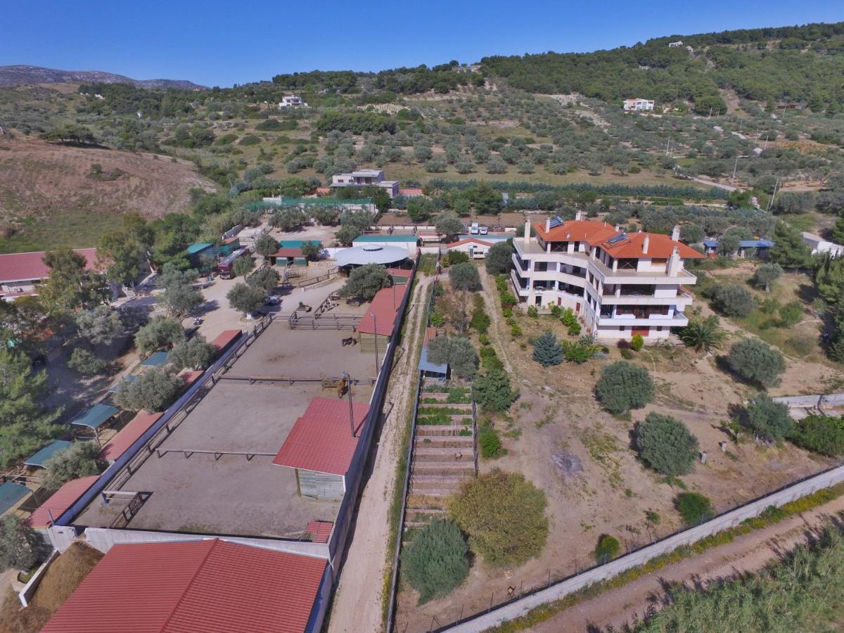 KerateaΟδυσσεια, Κοντά Σε Αεροδρόμιο, Λιμάνια Και Θάλασσεςアパートメント エクステリア 写真